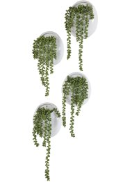 Plante artificielle en pot mural, bpc living bonprix collection