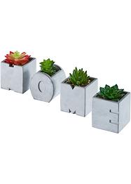 Succulentes artificielles Home en pot (Ens. 4 pces.), bpc living bonprix collection