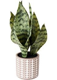 Plante artificielle en pot, bpc living bonprix collection