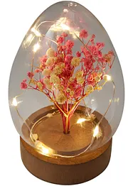 Objet déco LED Œuf avec fleurs séchées, bonprix