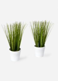 Plante artificielle herbe (lot de 2), bpc living bonprix collection
