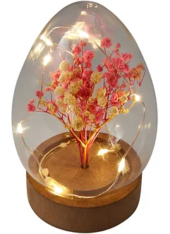 Objet déco LED Œuf avec fleurs séchées, bonprix