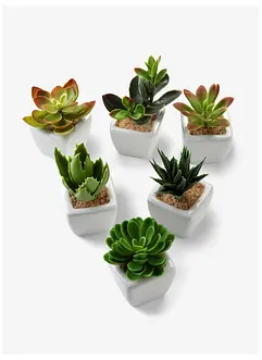 Mini-succulentes artificielles (Ens. 6 pces.), bonprix