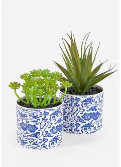 Plante artificielle succulente en pot (2 pces), bonprix