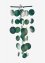 Décoration de jardin carillon avec coquilles de Capiz, bpc living bonprix collection