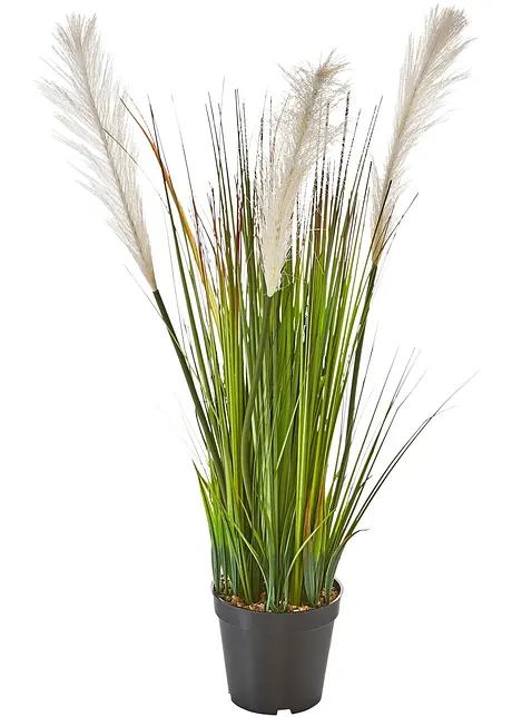 Plante artificielle, bpc living bonprix collection