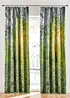 Panneau occultant imprimé forêt (1 pce.), bonprix