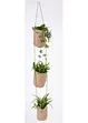 Lot de 3 supports pour plante, bonprix