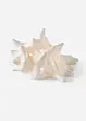 Objet déco LED coquillage, bonprix