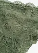Slip brésilien en dentelle, bonprix